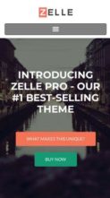 Zelle Pro (screenshot mobile)