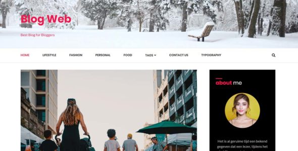 Blog Web (ThemeMiles)