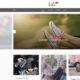 Lili Blog (ThemeMiles)