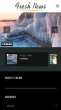 FreshNews (ThemeofWP) (screenshot mobile)