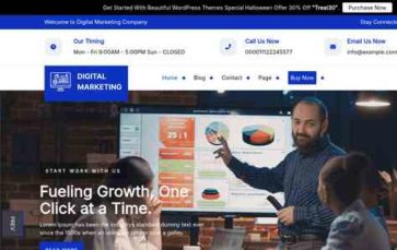 Pixel Digital Marketing Pro (screenshot desktop)