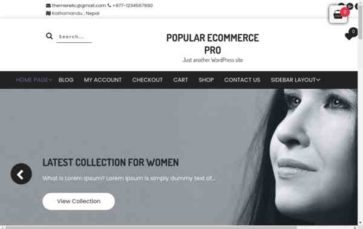 Popular eCommerce Pro (screenshot desktop)