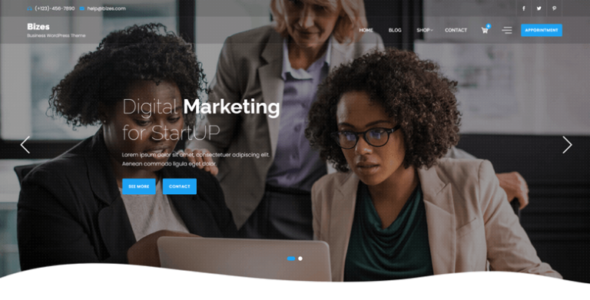 Bizes Pro (Themereps)