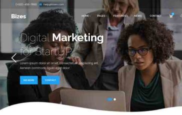 Bizes Pro (screenshot desktop)