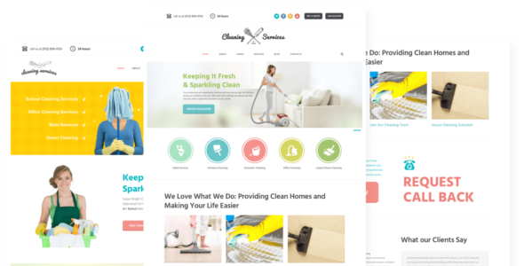 Cleaning Services (ThemeREX)