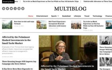 Multiblog Pro (screenshot desktop)