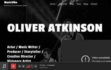MusicVibe Pro (screenshot desktop)