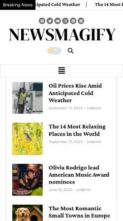 Newsmagify Pro (screenshot mobile)