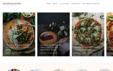 Recipe Blogz Pro (screenshot desktop)