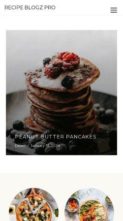 Recipe Blogz Pro (screenshot mobile)