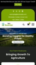 Green Market Pro (screenshot mobile)