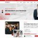 Startup Consultant Pro (Themes Carts)