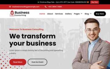 Startup Consultant Pro (screenshot desktop)