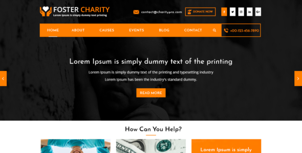 Foster Charity Pro (Themes Eye)