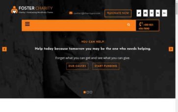 Foster Charity Pro (screenshot desktop)