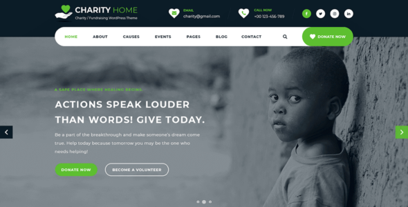 Charity Fundraiser Pro (Themes Glance)