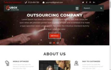 IT Company Pro (screenshot desktop)