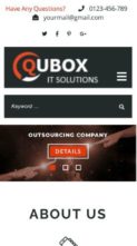IT Company Pro (screenshot mobile)