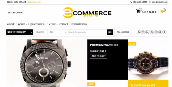 Ecommerce Store (Themes4WP)