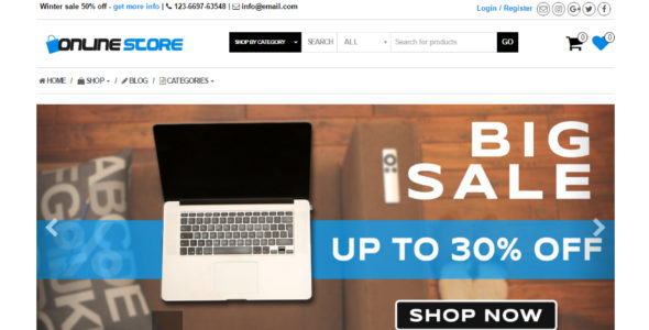 Online Store (Themes4WP)