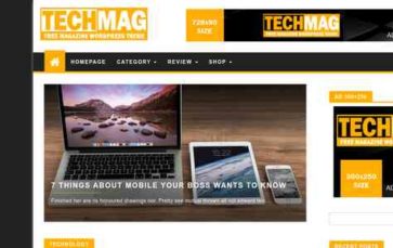 TechMag (Themes4WP) (screenshot desktop)
