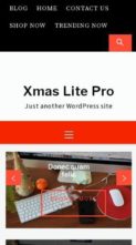 Xmas Lite Pro (screenshot mobile)