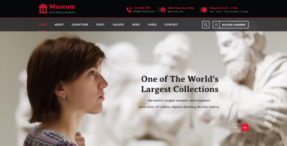 TC Museum Pro (ThemesCaliber)