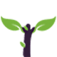 Author Icon
