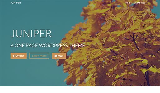 Juniper Pro (ThemeShift)