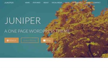 Juniper Pro (screenshot desktop)