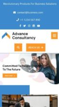 Advance Consultancy Pro (screenshot mobile)