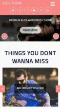 Perfect Blog Pro (screenshot mobile)
