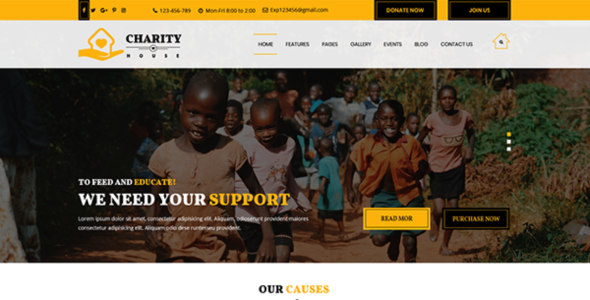 TS Charity Pro (ThemeShopy)
