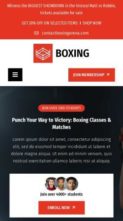 Boxing Martial Arts Pro (screenshot mobile)