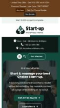 Online Startup Agency Pro (screenshot mobile)