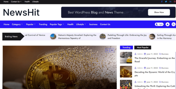 Newshit Pro (ThemeUniver)