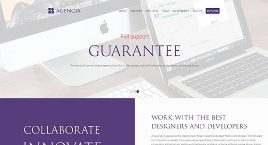 Agencia (ThemeXpert)