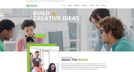 Biznes (ThemeXpert)