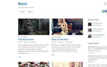 Basic (Themify) (screenshot desktop)