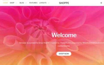 Shoppe (Themify) (screenshot desktop)