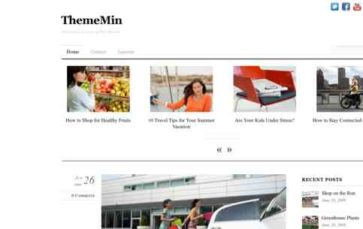 ThemeMin (screenshot desktop)