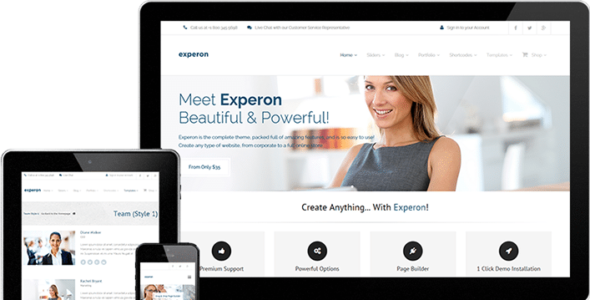 Experon Pro (Think Up Themes)