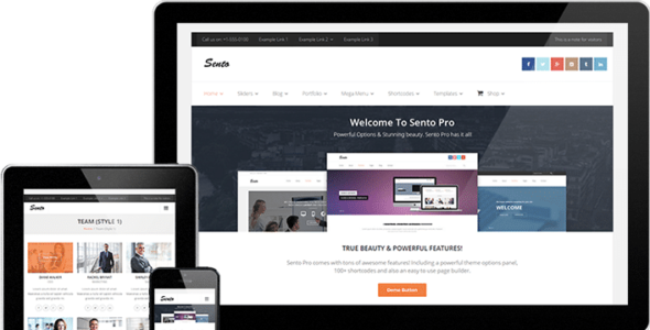 Sento Pro (Think Up Themes)