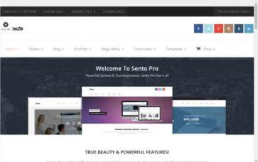 Sento Pro (screenshot desktop)