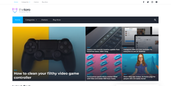thetoro (Toro Themes)