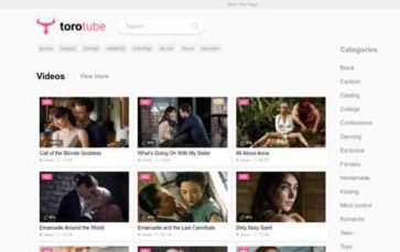 Screenshot Desktop Torotube (screenshot desktop)