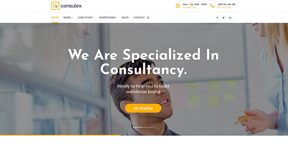 Consulex (Trendy Theme)