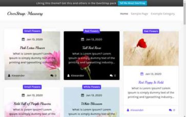 Screenshot Desktop OverStrap: Masonry (screenshot desktop)