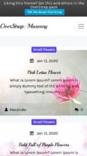 Screenshot Mobile OverStrap: Masonry (screenshot mobile)
