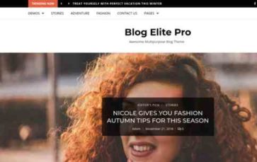 Blog Elite Pro (screenshot desktop)